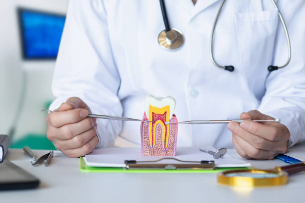 Best Emergency Cosmetic Dentistry in Hillsdale, MI